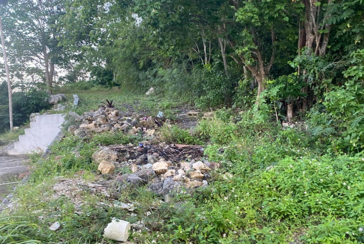 Fourth image of Part of Tanglewood in Tanglewood, St. Ann, Jamaica - property is For Sale