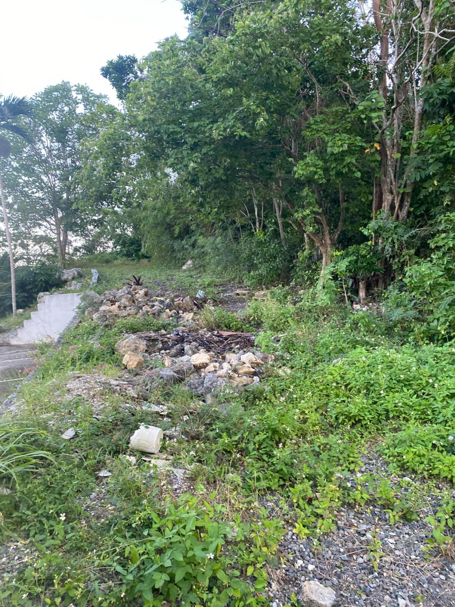 Prime-80.5-Acre-Development-Land-for-Sale-in-St.-Ann-Jamaica Fourth image of Part of Tanglewood in Tanglewood, St. Ann, Jamaica - property is For Sale