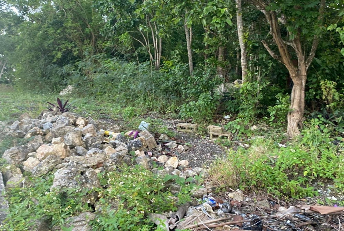 Fifth image of Part of Tanglewood in Tanglewood, St. Ann, Jamaica - property is For Sale