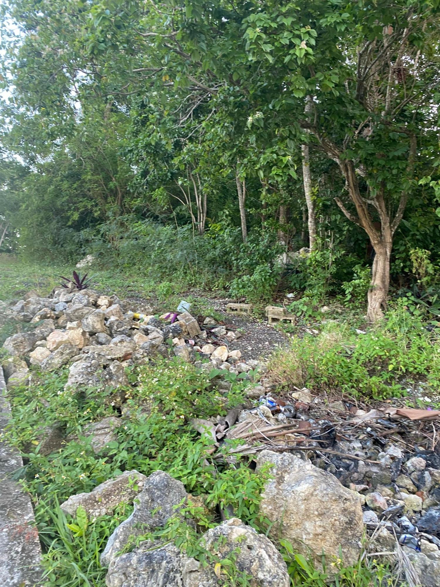 Prime-80.5-Acre-Development-Land-for-Sale-in-St.-Ann-Jamaica Fifth image of Part of Tanglewood in Tanglewood, St. Ann, Jamaica - property is For Sale