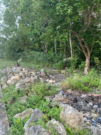 Fifth image of Part of Tanglewood in Tanglewood, St. Ann, Jamaica - property is For Sale