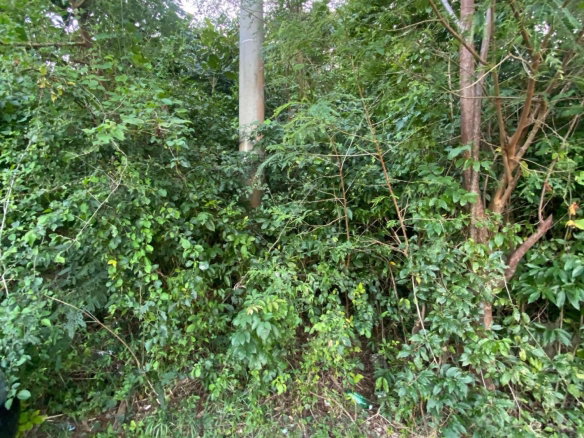 First image of Part of Tanglewood in Tanglewood, St. Ann, Jamaica - property is For Sale