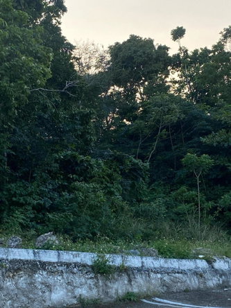 Ninth image of Part of Tanglewood in Tanglewood, St. Ann, Jamaica - property is For Sale