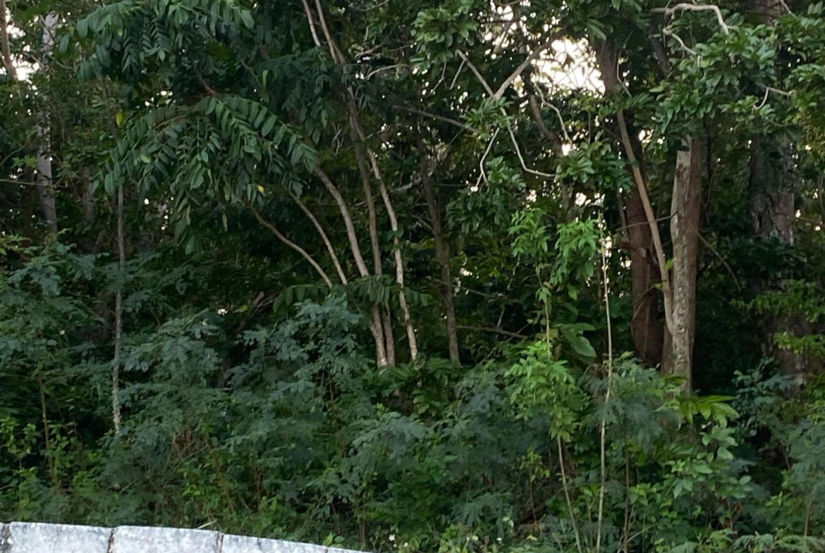 Tenth image of Part of Tanglewood in Tanglewood, St. Ann, Jamaica - property is For Sale