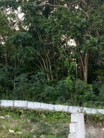 Tenth image of Part of Tanglewood in Tanglewood, St. Ann, Jamaica - property is For Sale