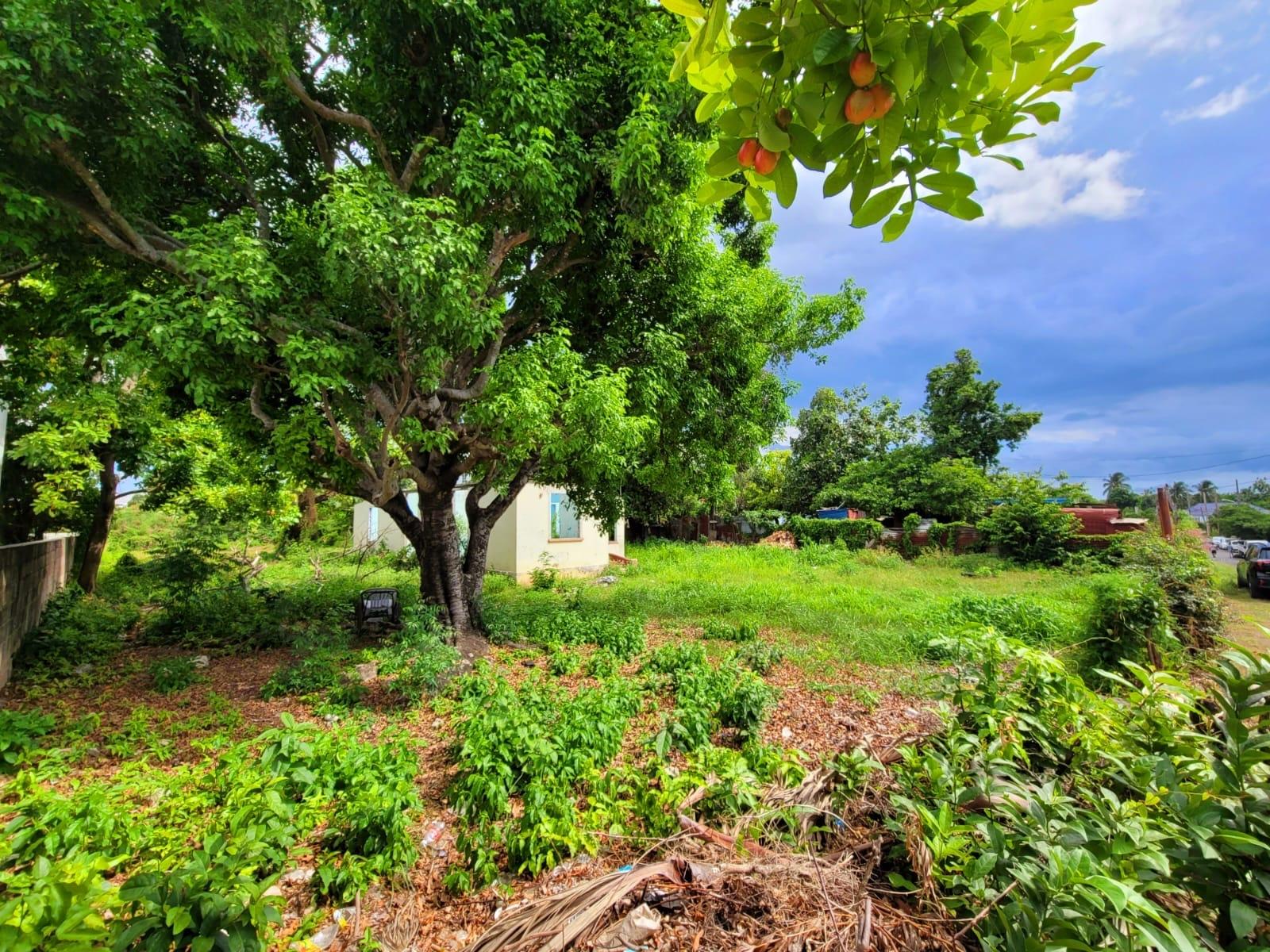 Sixth image of 8 Gordon Street in May Pen, Clarendon, Jamaica - property is For Sale