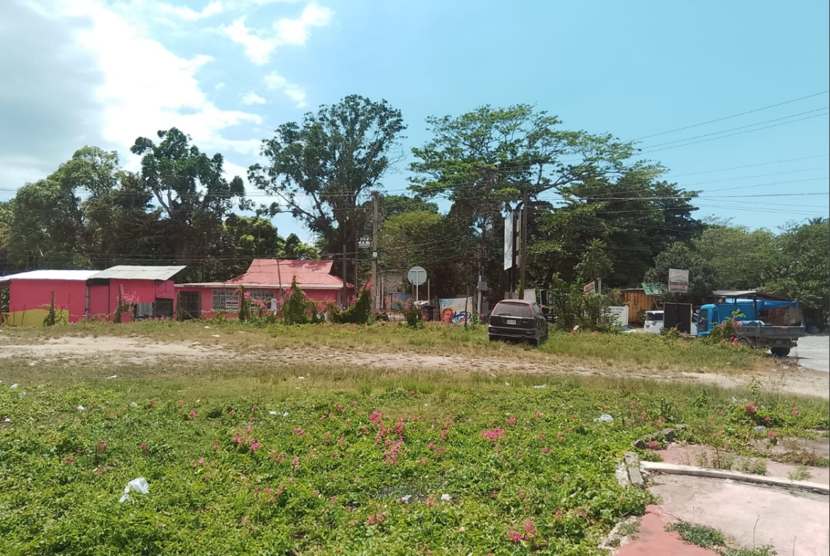 Fourth image of Tombstone in Lacovia, St. Elizabeth, Jamaica - property is For Sale