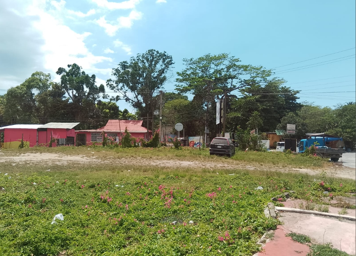 Fourth image of Tombstone in Lacovia, St. Elizabeth, Jamaica - property is For Sale