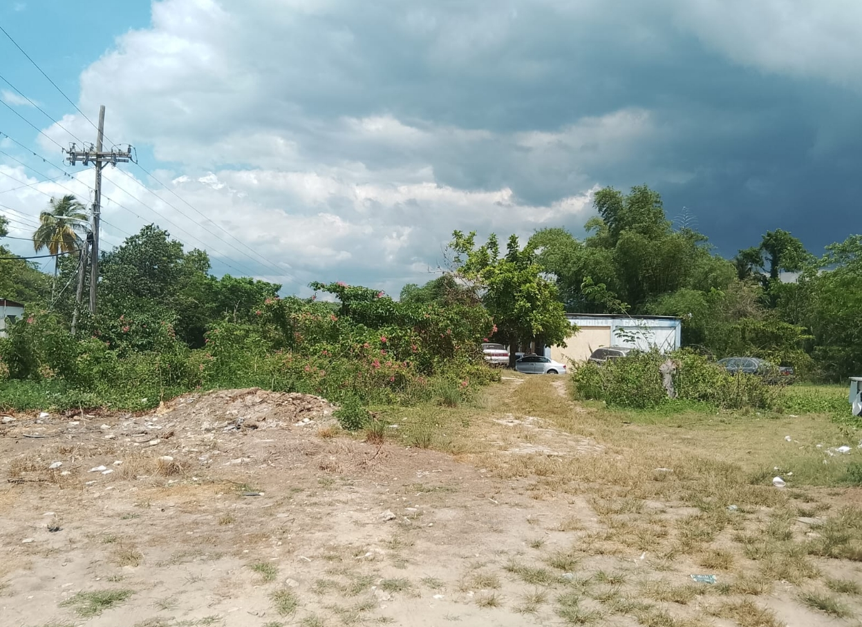 Fifth image of Tombstone in Lacovia, St. Elizabeth, Jamaica - property is For Sale