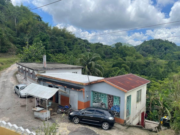 First image of Dublin Castle, Brainerd, st Mary in Brainerd, St. Mary, Jamaica - property is For Sale