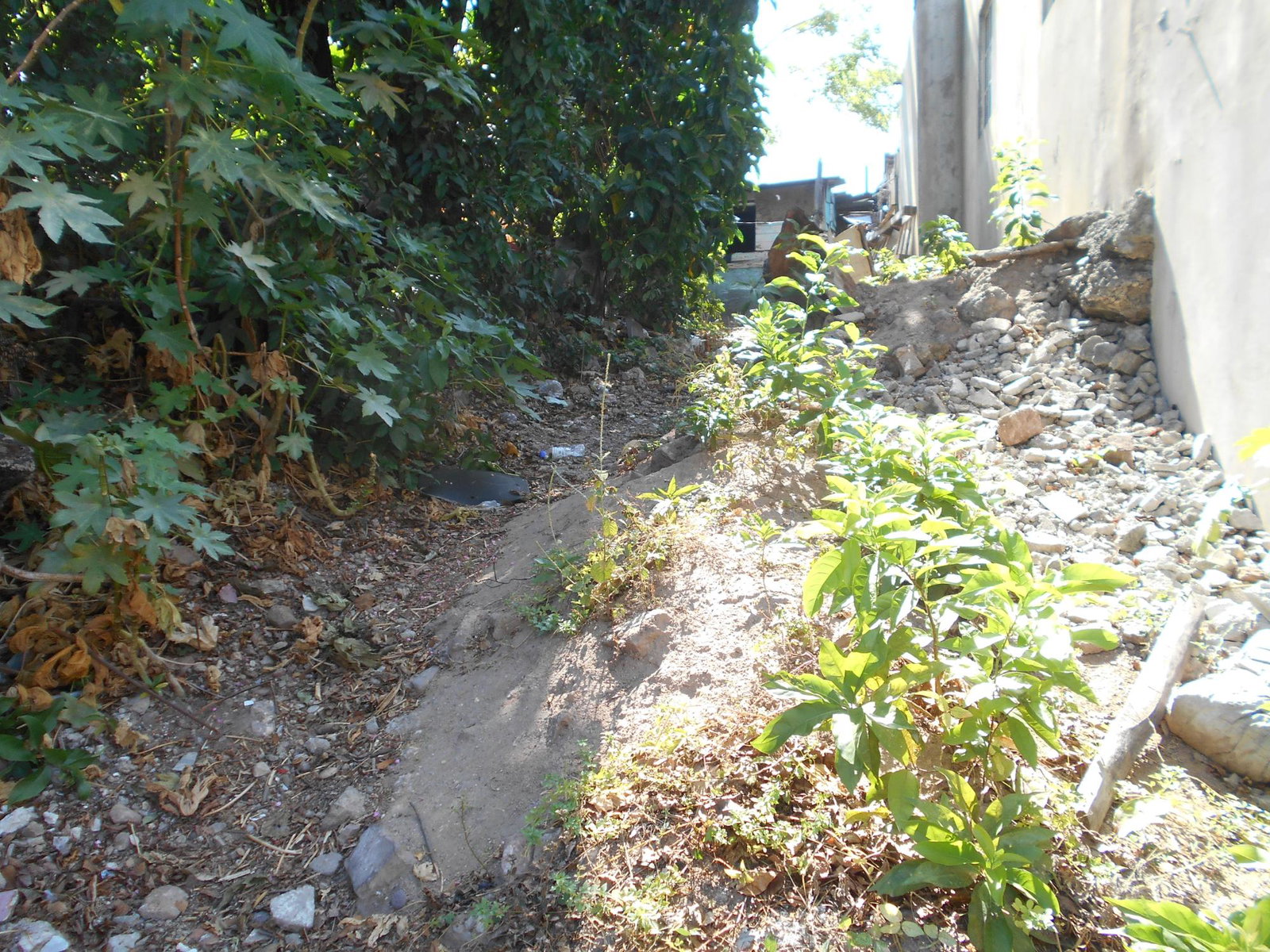 Prime-Development-Land-for-Sale-in-Downtown-Kingston-–-102-Church-Street Fourth image of 102 Church Street Kingston in KINGSTON, Kingston, Jamaica - property is For Sale