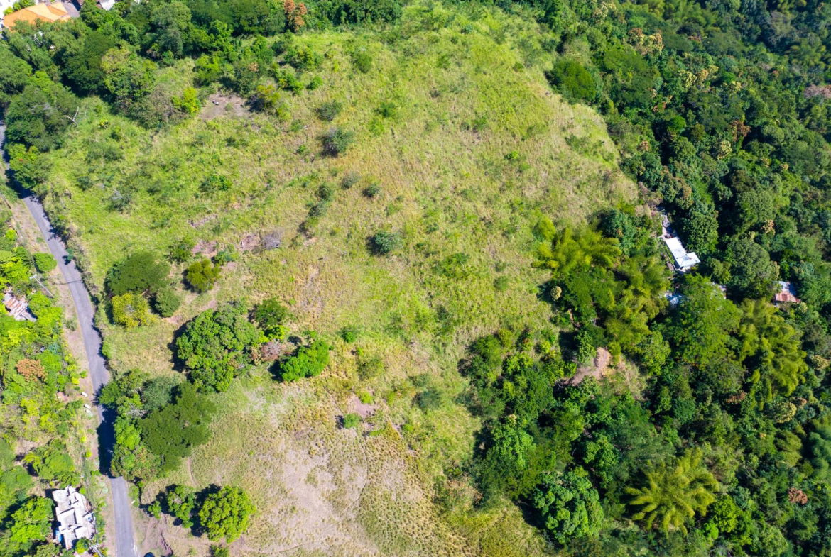 Fourth image of 0 Part of Maryland And Hop in Kingston 6, St. Andrew, Jamaica - property is For Sale