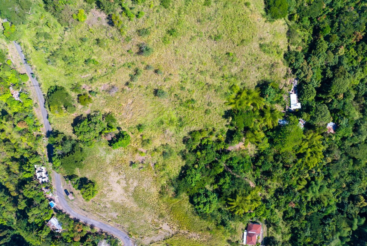 Fifth image of 0 Part of Maryland And Hop in Kingston 6, St. Andrew, Jamaica - property is For Sale