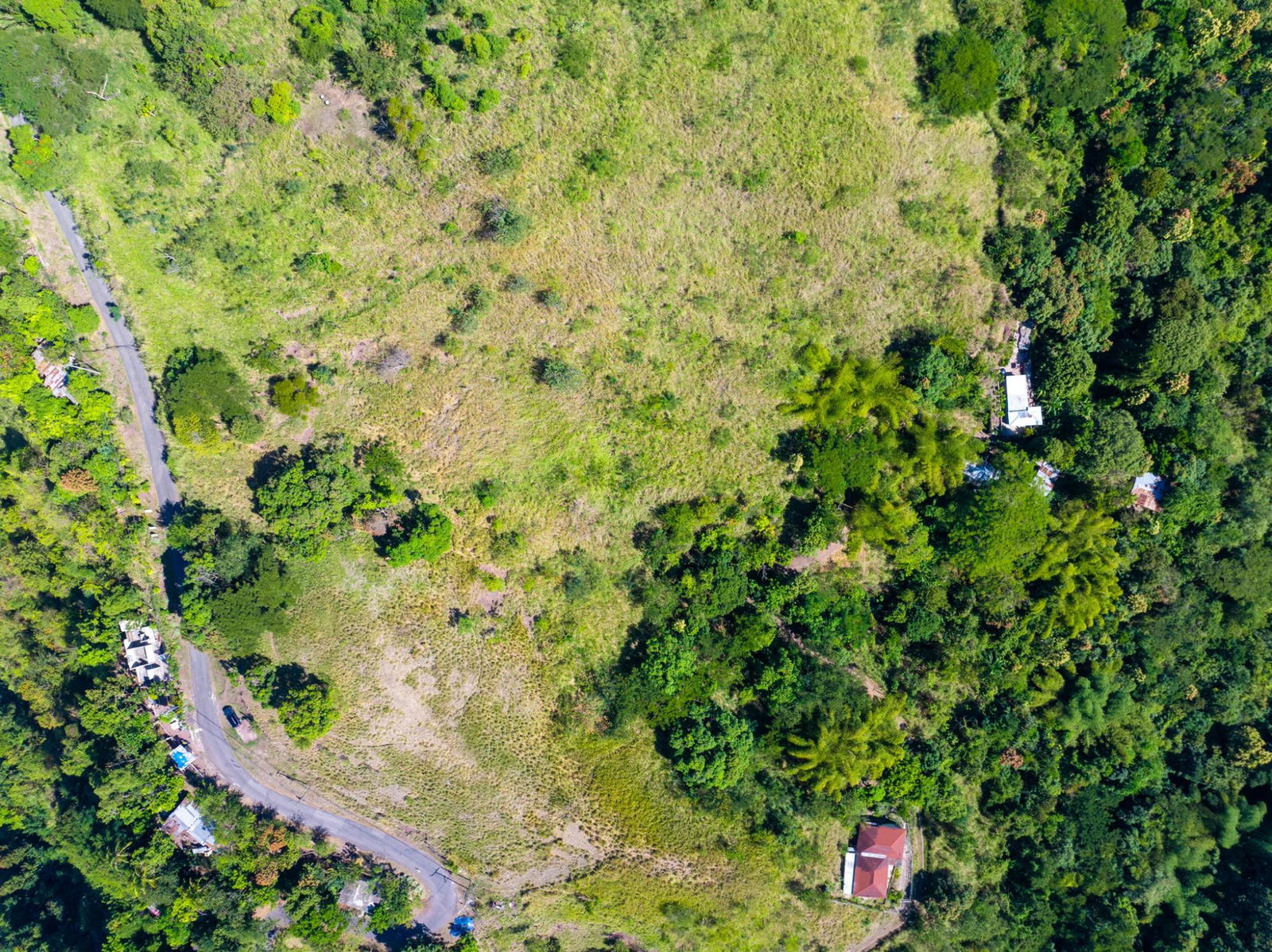 Fifth image of 0 Part of Maryland And Hop in Kingston 6, St. Andrew, Jamaica - property is For Sale