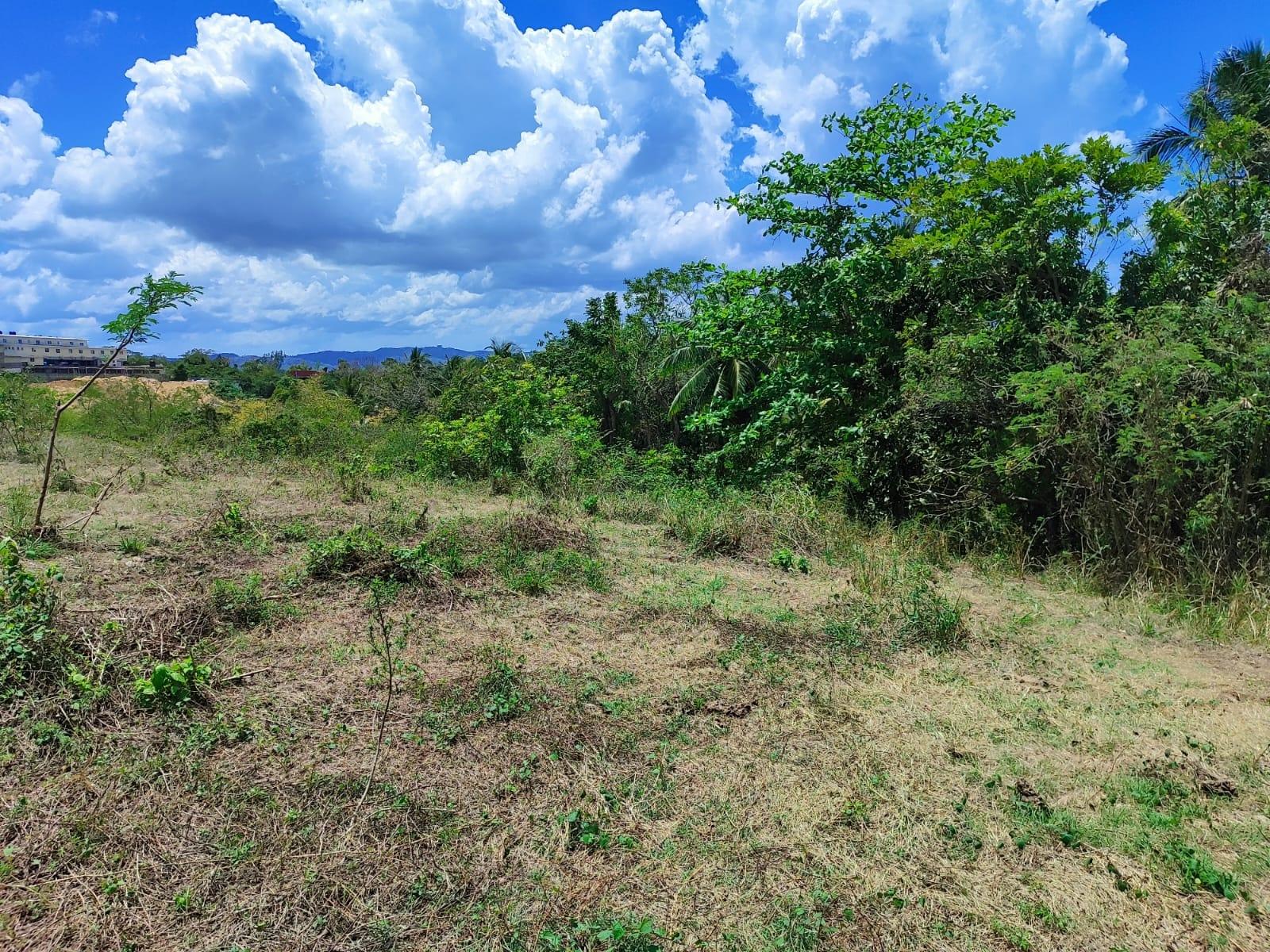 Sixth image of 39 Brandon Hill, Peter Pan r in Montego Bay, St. James, Jamaica - property is For Sale