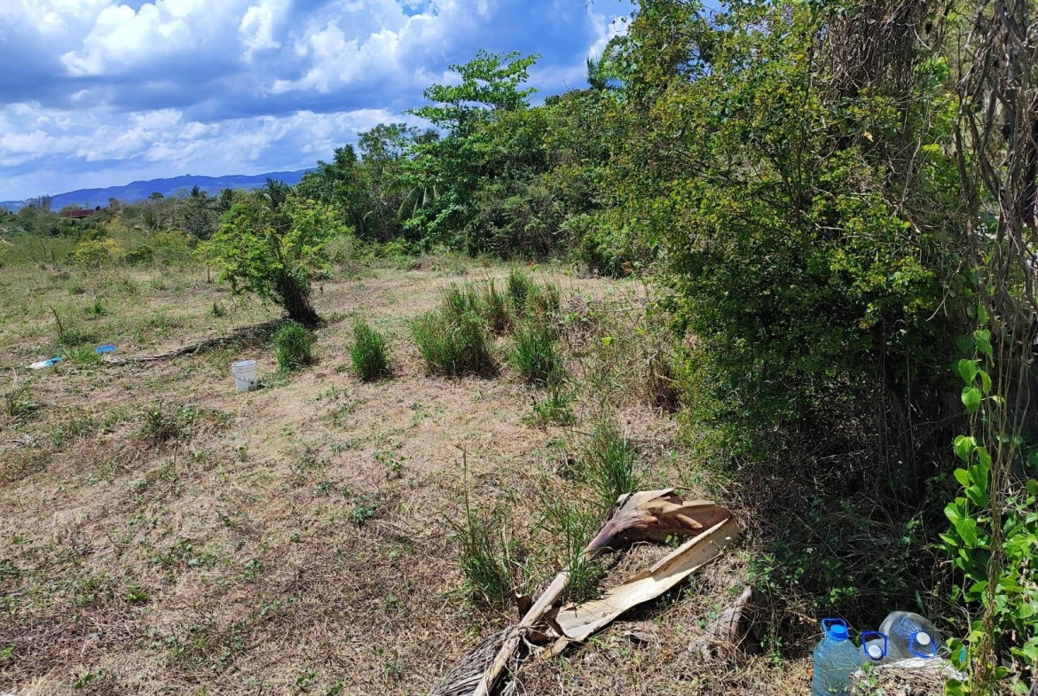 Eighth image of 39 Brandon Hill, Peter Pan r in Montego Bay, St. James, Jamaica - property is For Sale