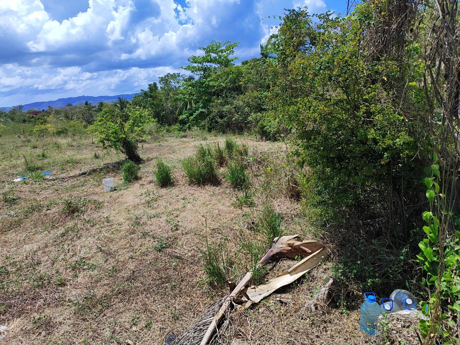 Eighth image of 39 Brandon Hill, Peter Pan r in Montego Bay, St. James, Jamaica - property is For Sale