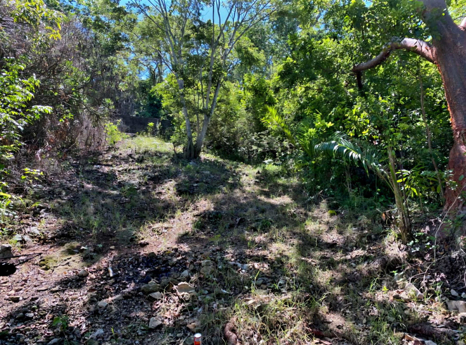 Prime-Ocean-View-Lot-for-Sale-in-Torada-Heights-Coral-Gardens-St.-James Eighth image of 202 Torado Heights in Ironshore, St. James, Jamaica - property is For Sale