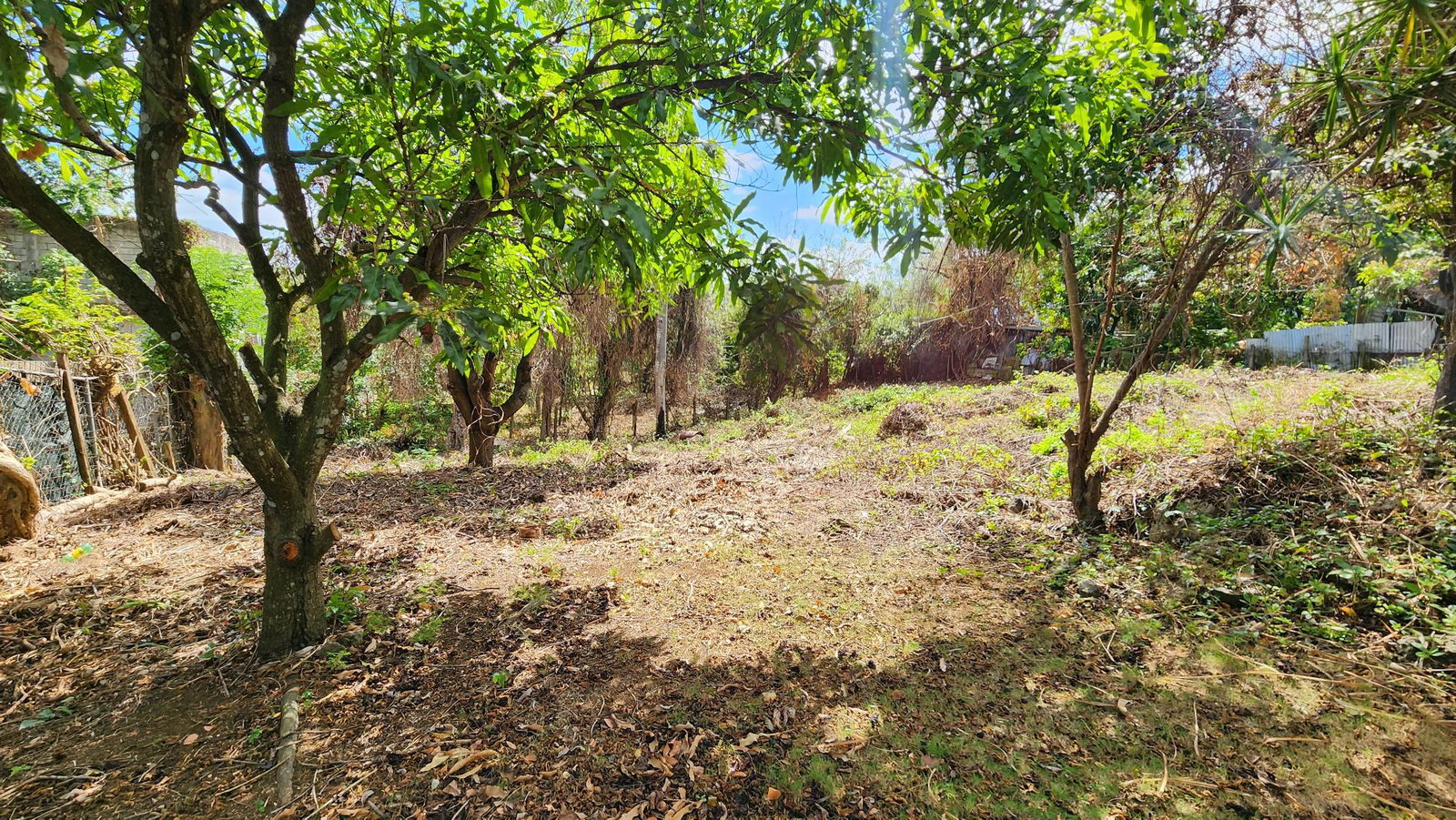 Eighteenth image of 4 Park Ave in Montego Bay, St. James, Jamaica - property is For Sale