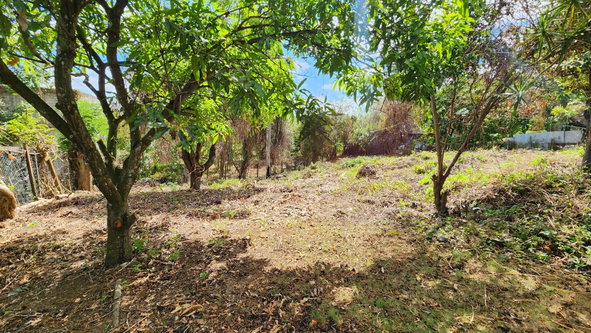 Eighteenth image of 4 Park Ave in Montego Bay, St. James, Jamaica - property is For Sale