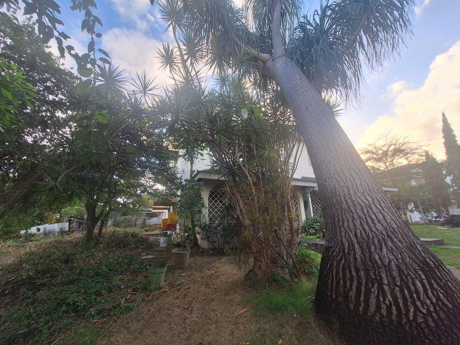 Twenty-Third image of 4 Park Ave in Montego Bay, St. James, Jamaica - property is For Sale