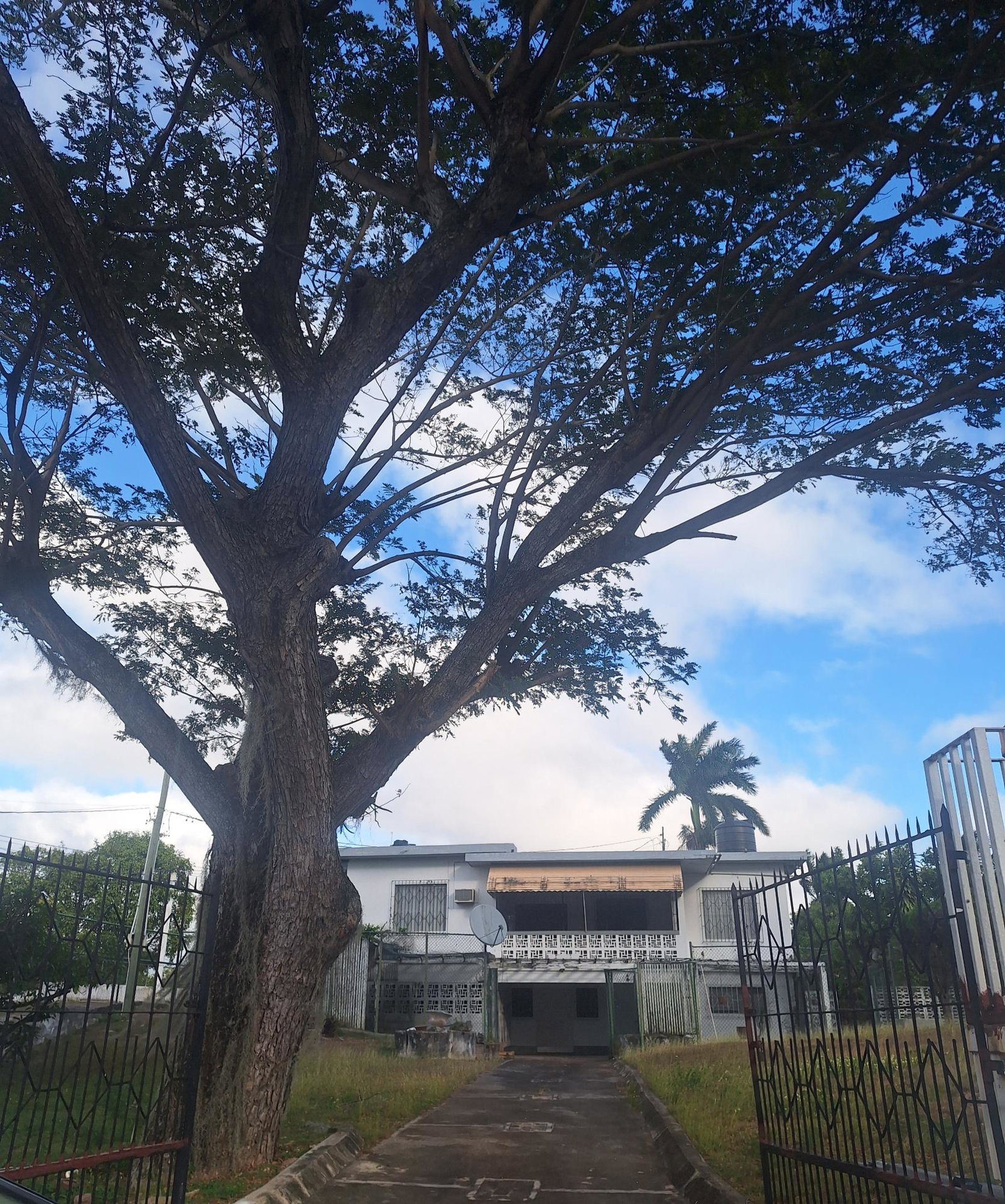 Fourth image of 4 Park Ave in Montego Bay, St. James, Jamaica - property is For Sale