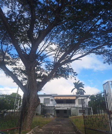Fourth image of 4 Park Ave in Montego Bay, St. James, Jamaica - property is For Sale