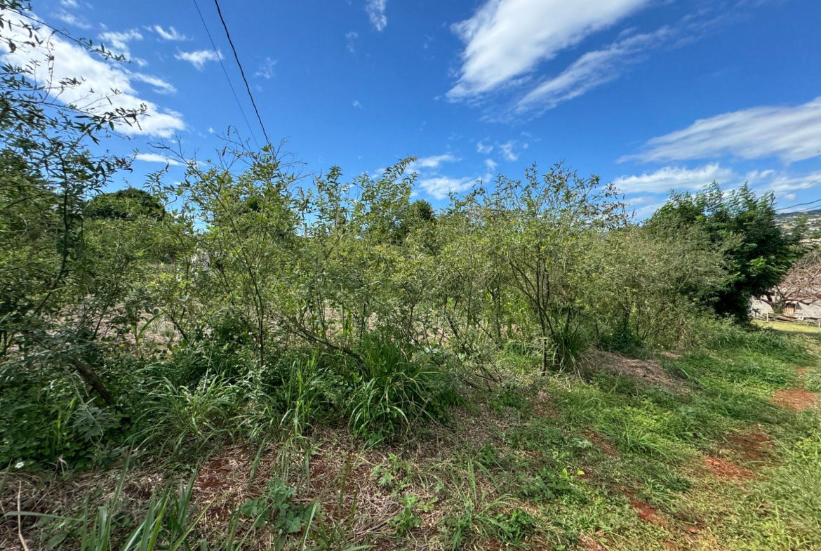 Eleventh image of Ballards Valley, Junction in Ballards Valley, St. Elizabeth, Jamaica - property is For Sale