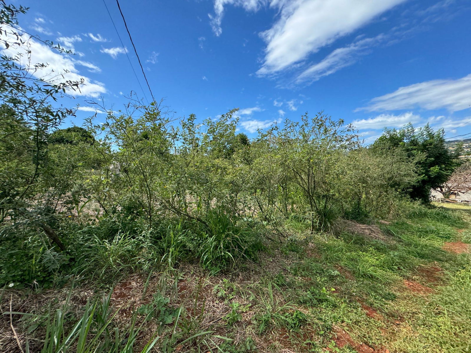 Eleventh image of Ballards Valley, Junction in Ballards Valley, St. Elizabeth, Jamaica - property is For Sale