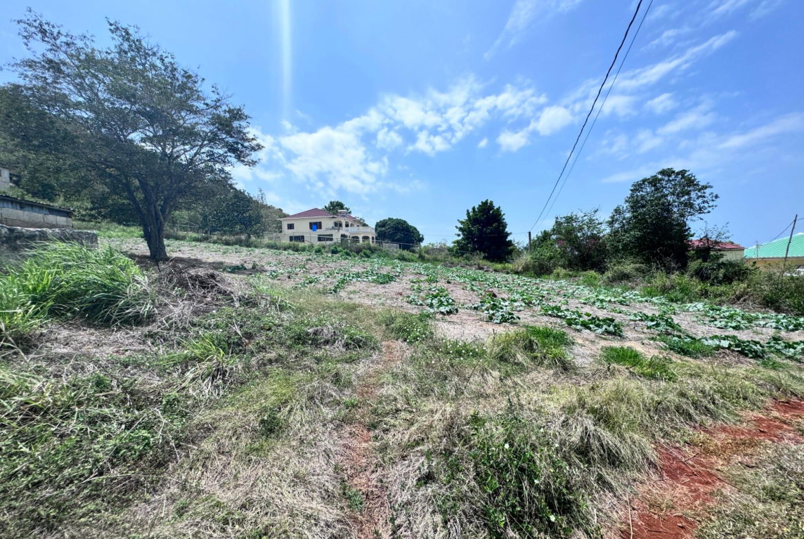 Twelfth image of Ballards Valley, Junction in Ballards Valley, St. Elizabeth, Jamaica - property is For Sale