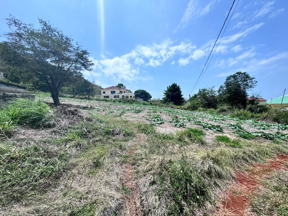 Twelfth image of Ballards Valley, Junction in Ballards Valley, St. Elizabeth, Jamaica - property is For Sale