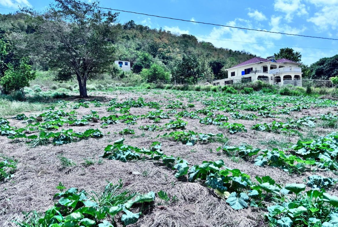 Thirteenth image of Ballards Valley, Junction in Ballards Valley, St. Elizabeth, Jamaica - property is For Sale