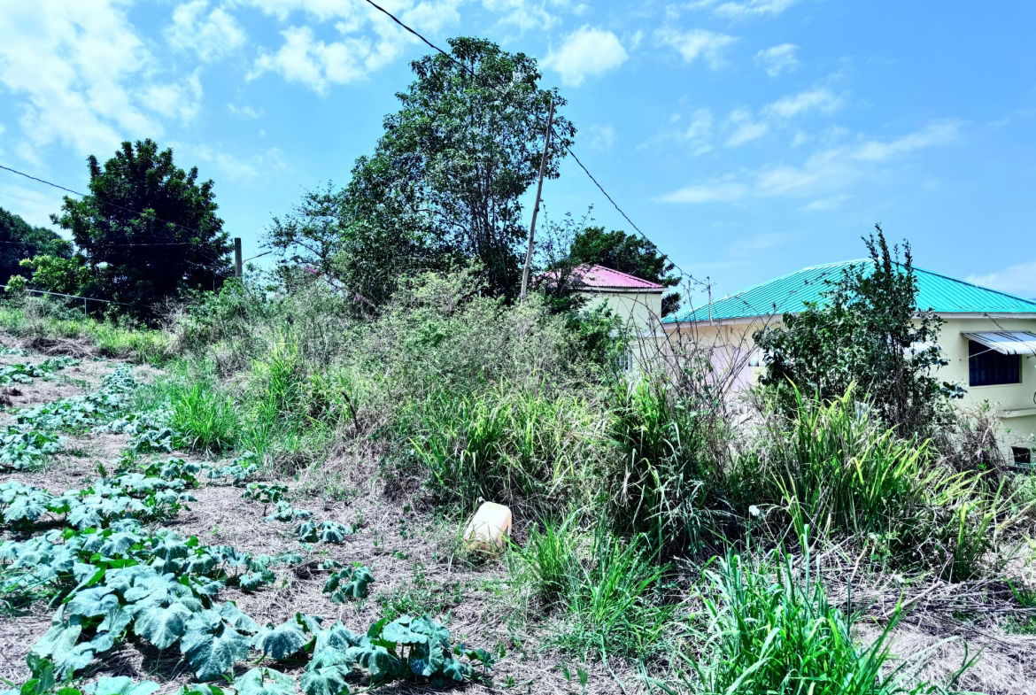 Fourteenth image of Ballards Valley, Junction in Ballards Valley, St. Elizabeth, Jamaica - property is For Sale