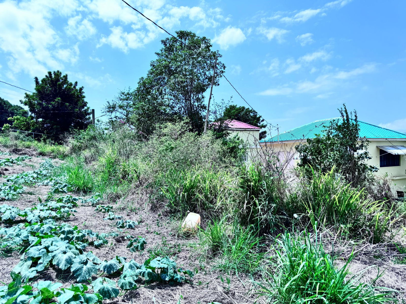 Fourteenth image of Ballards Valley, Junction in Ballards Valley, St. Elizabeth, Jamaica - property is For Sale