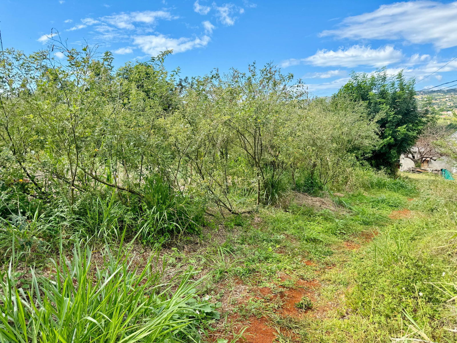 Third image of Ballards Valley, Junction in Ballards Valley, St. Elizabeth, Jamaica - property is For Sale