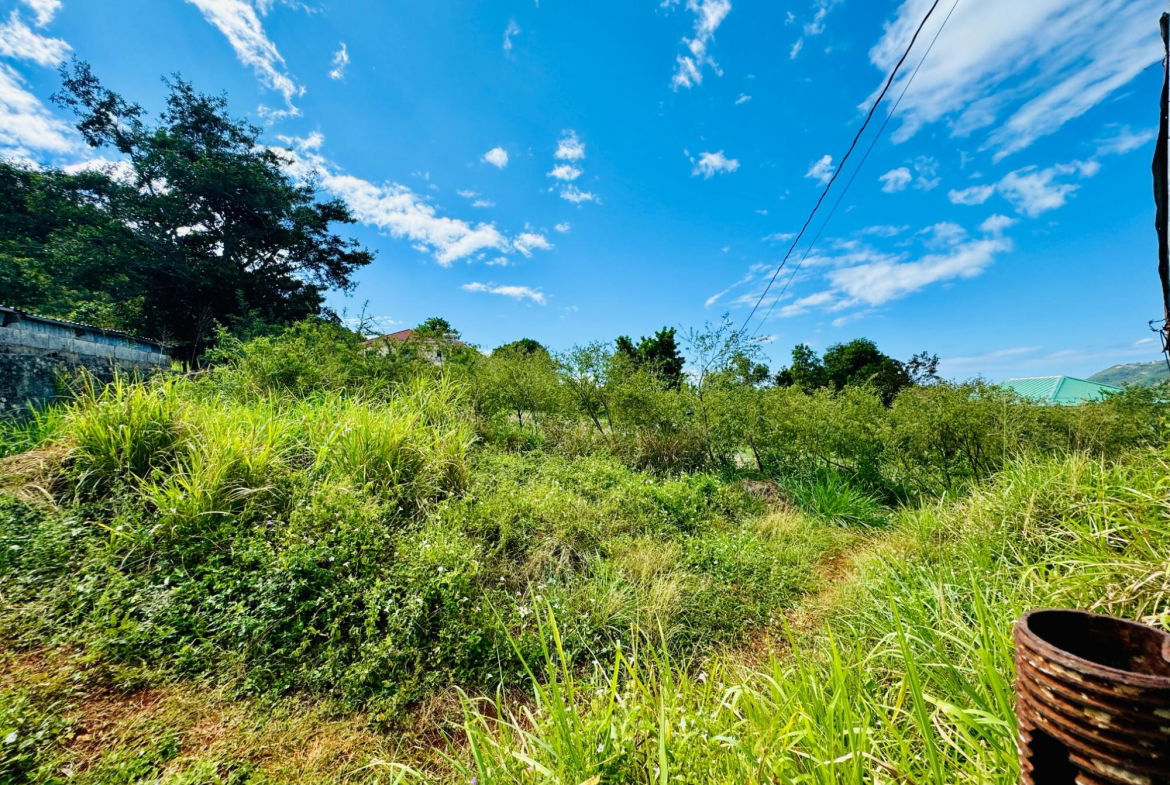 Fourth image of Ballards Valley, Junction in Ballards Valley, St. Elizabeth, Jamaica - property is For Sale