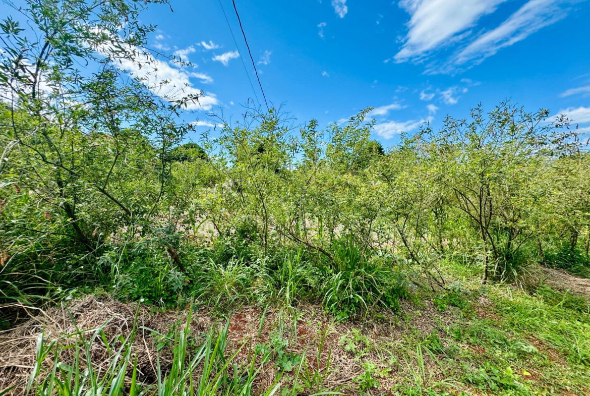 Fifth image of Ballards Valley, Junction in Ballards Valley, St. Elizabeth, Jamaica - property is For Sale