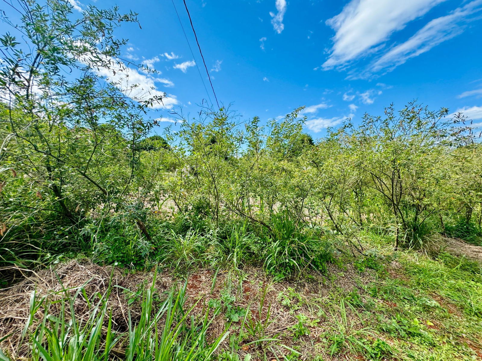 Fifth image of Ballards Valley, Junction in Ballards Valley, St. Elizabeth, Jamaica - property is For Sale