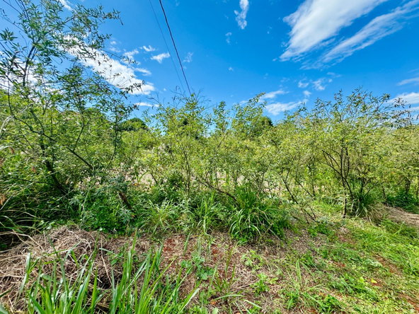 Fifth image of Ballards Valley, Junction in Ballards Valley, St. Elizabeth, Jamaica - property is For Sale