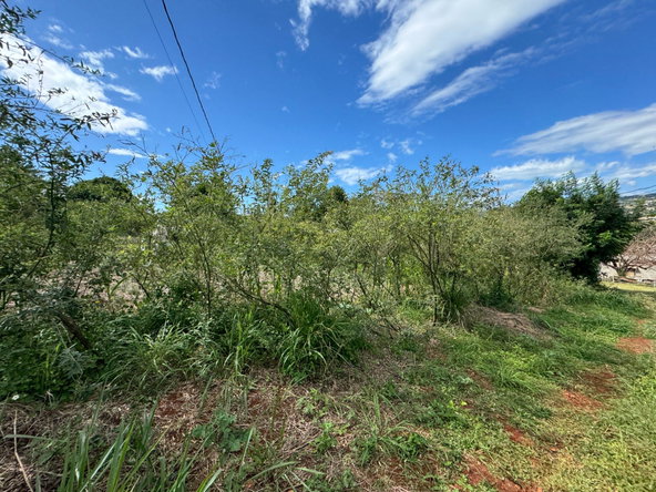Sixth image of Ballards Valley, Junction in Ballards Valley, St. Elizabeth, Jamaica - property is For Sale