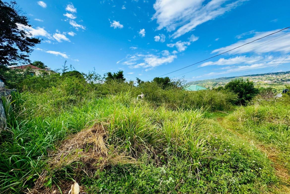 Seventh image of Ballards Valley, Junction in Ballards Valley, St. Elizabeth, Jamaica - property is For Sale