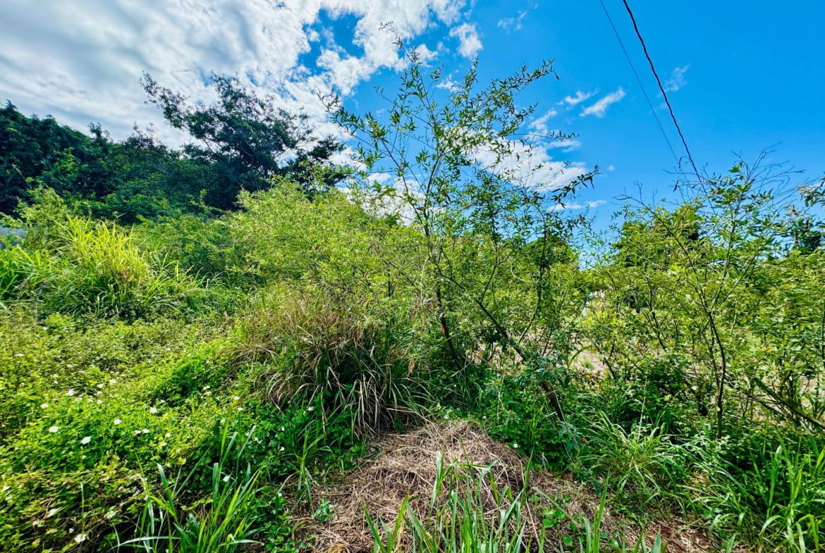 Eighth image of Ballards Valley, Junction in Ballards Valley, St. Elizabeth, Jamaica - property is For Sale