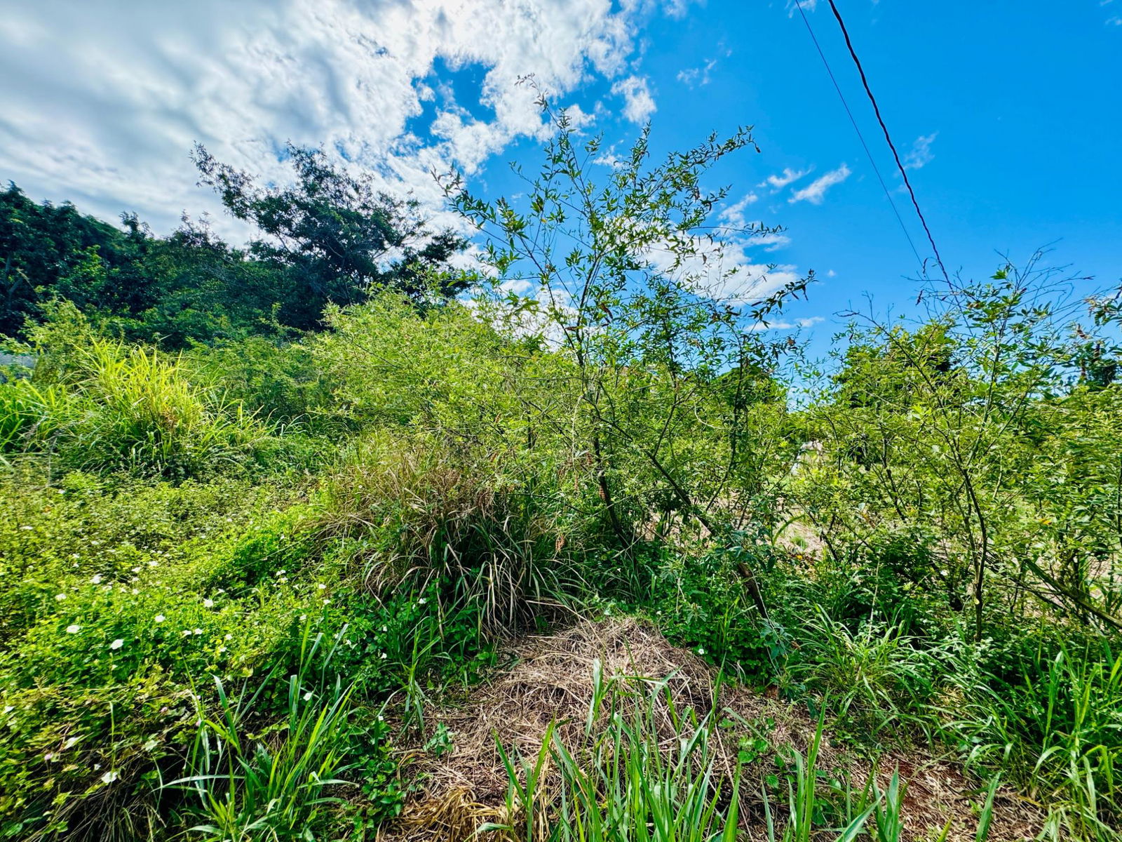 Eighth image of Ballards Valley, Junction in Ballards Valley, St. Elizabeth, Jamaica - property is For Sale