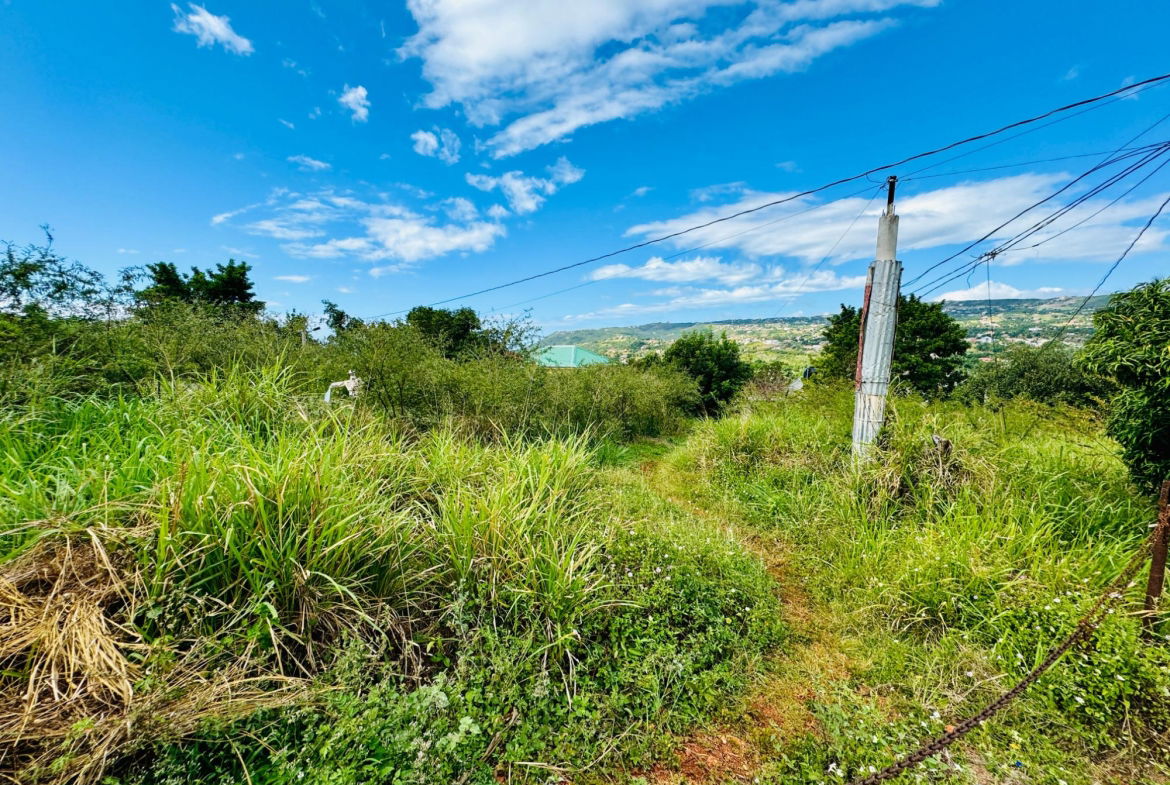 Ninth image of Ballards Valley, Junction in Ballards Valley, St. Elizabeth, Jamaica - property is For Sale