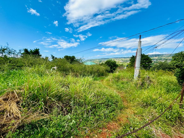Ninth image of Ballards Valley, Junction in Ballards Valley, St. Elizabeth, Jamaica - property is For Sale