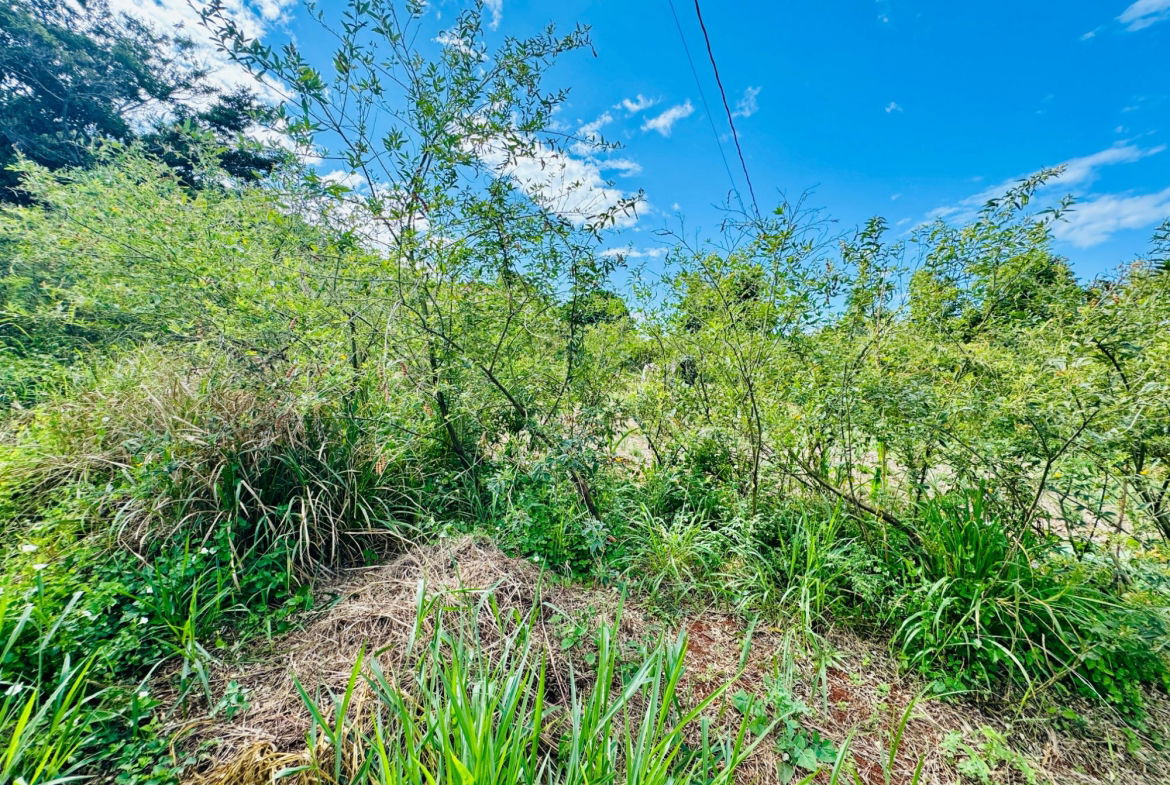Tenth image of Ballards Valley, Junction in Ballards Valley, St. Elizabeth, Jamaica - property is For Sale