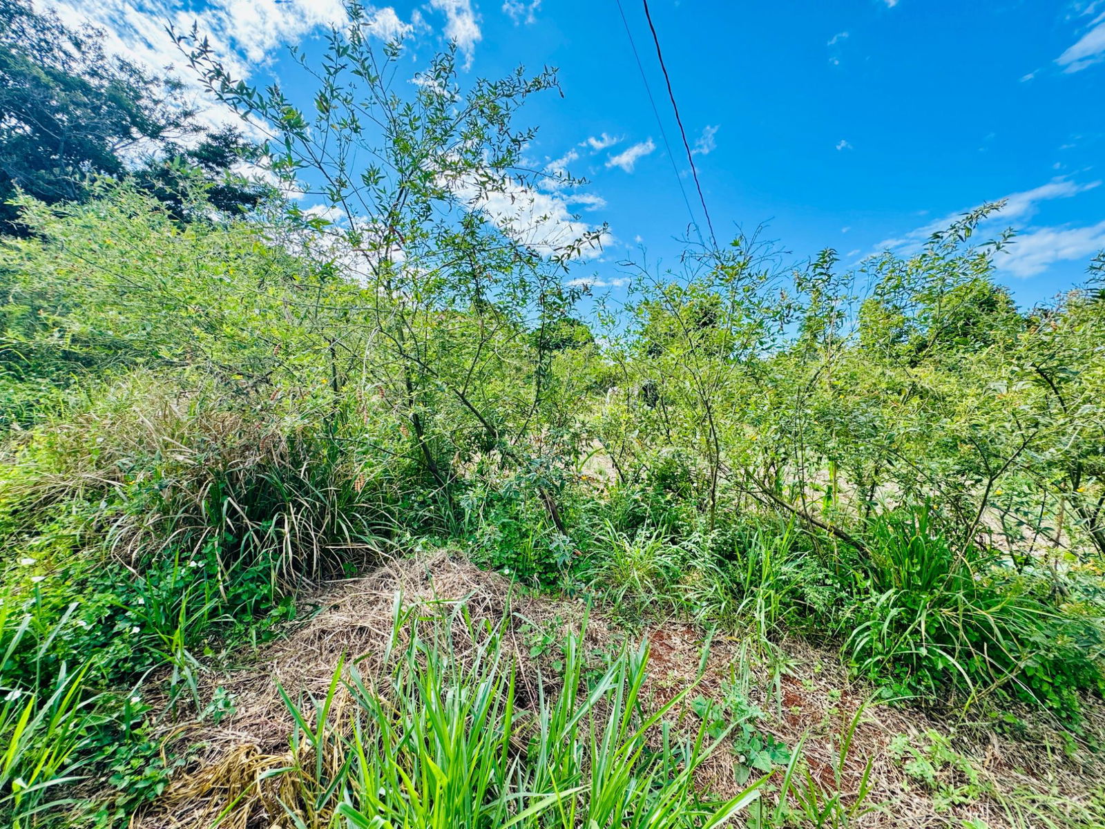 Tenth image of Ballards Valley, Junction in Ballards Valley, St. Elizabeth, Jamaica - property is For Sale