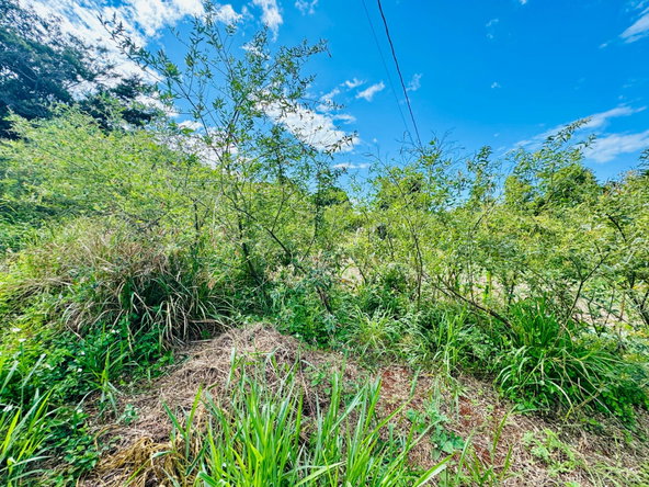 Tenth image of Ballards Valley, Junction in Ballards Valley, St. Elizabeth, Jamaica - property is For Sale
