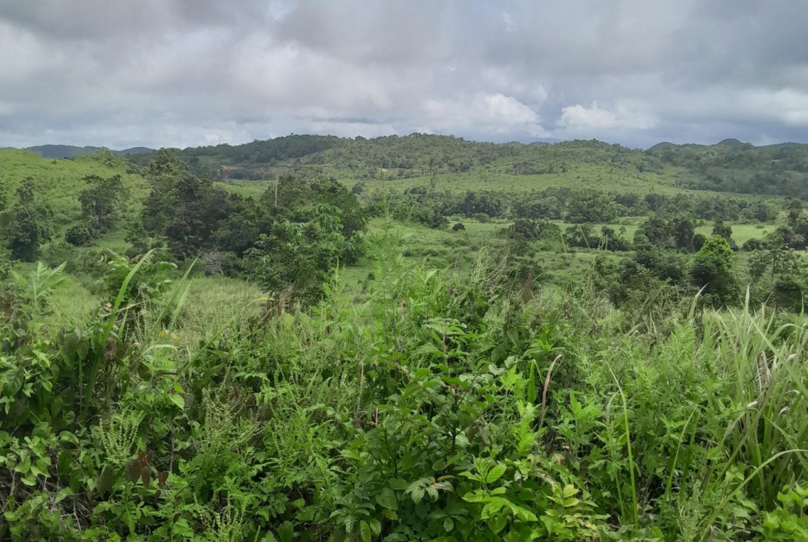 Third image of Friendship Scheme in Walkerswood, St. Ann, Jamaica - property is For Sale