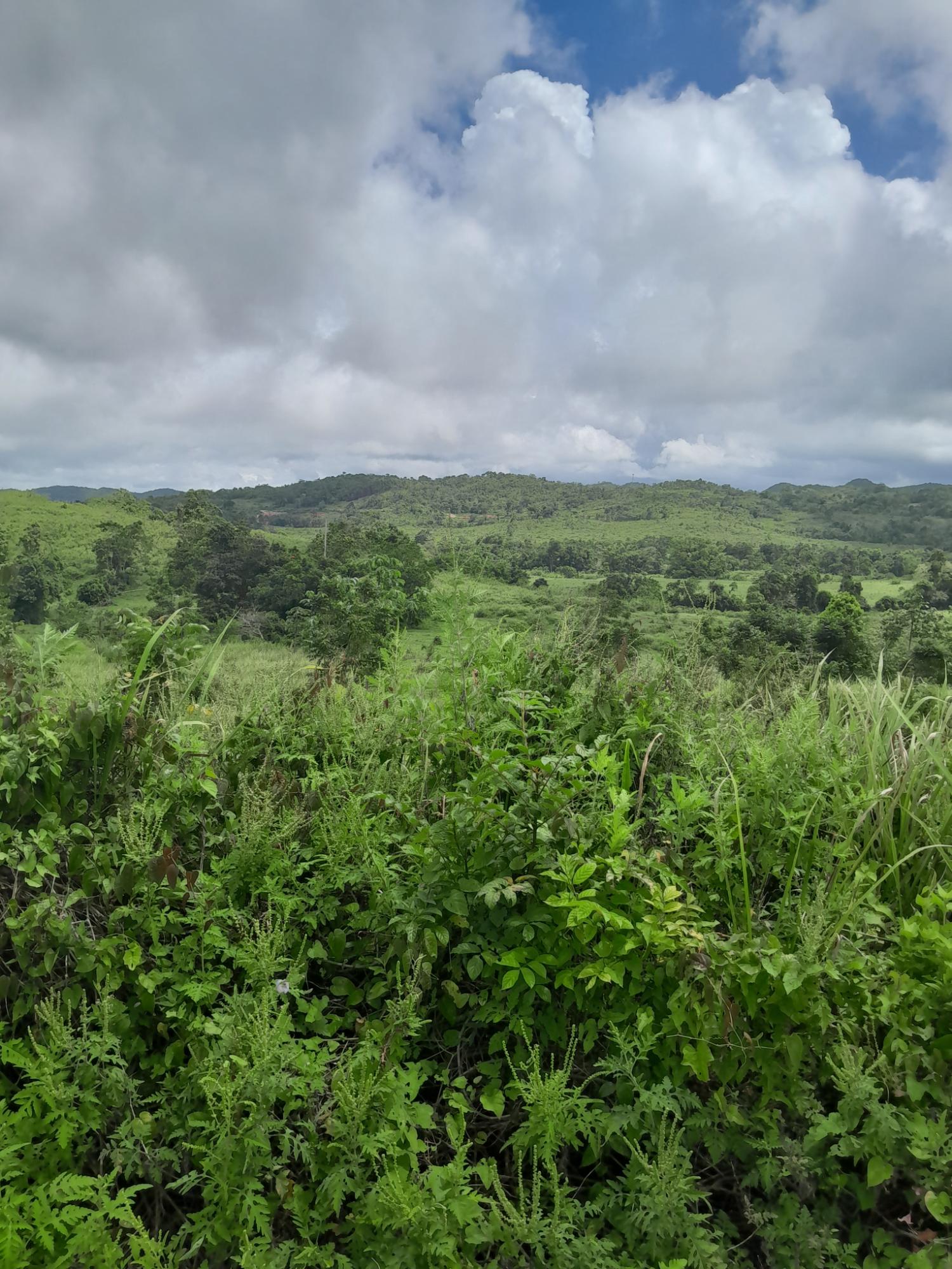 Third image of Friendship Scheme in Walkerswood, St. Ann, Jamaica - property is For Sale